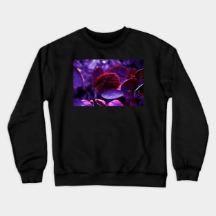 Ultra Violet Bleeding Leaves Crewneck Sweatshirt